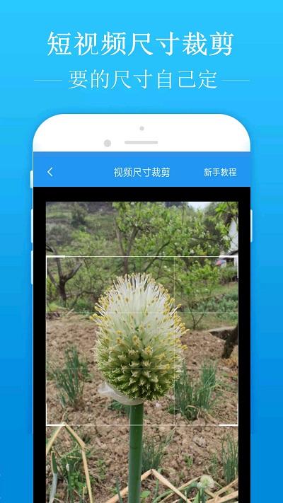 去水印吧官方版下载,去水印吧,去水印app,修图app